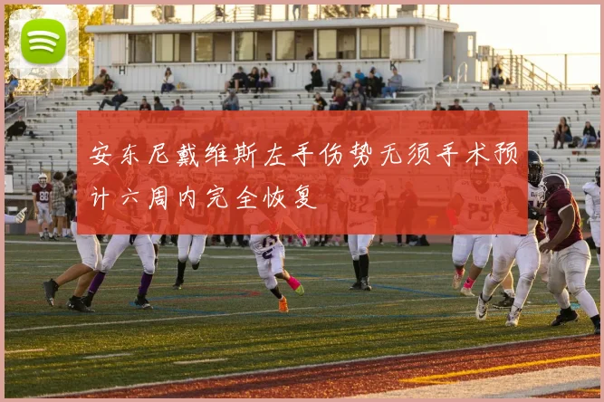 安东尼戴维斯左手伤势无须手术预计六周内完全恢复