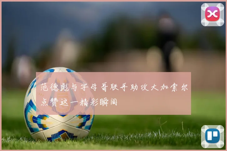 范德彪与字母哥联手助攻大加索尔点赞这一精彩瞬间
