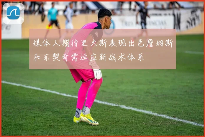媒体人期待里夫斯表现出色詹姆斯和东契奇需适应新战术体系