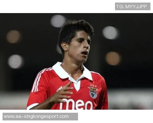 坎塞洛年薪1500万遭弃用罗马诺曝国米正积极接触他